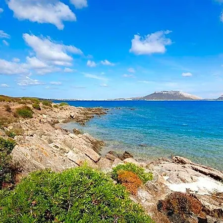 Club Baia Aranzos Hotel 4*