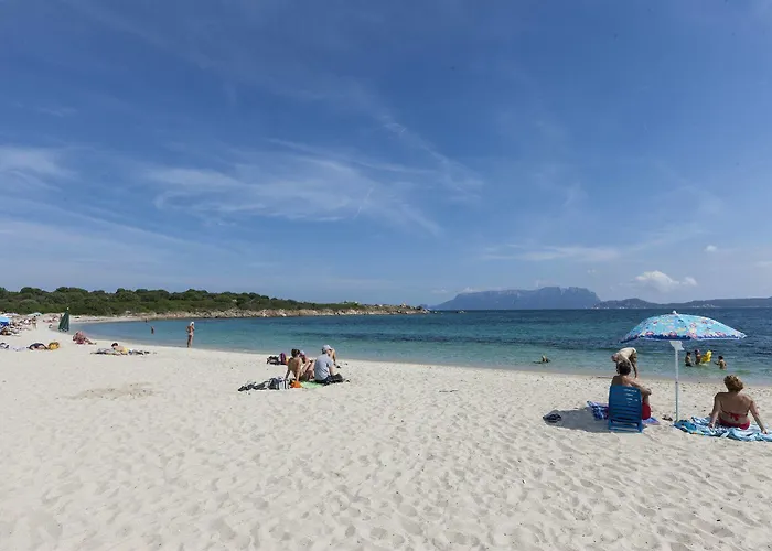 Club Baia Aranzos Hotel 4*